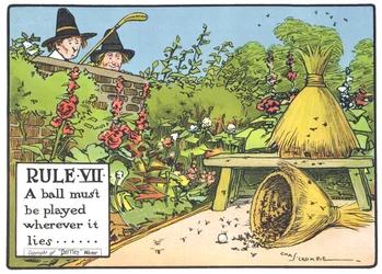 Regola VII: Una palla deve essere giocata ovunque si trovi..., da 